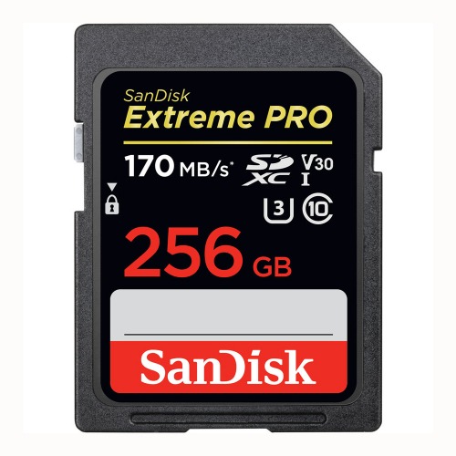 샌디스크 Extreme Pro SD 256GB 170MB
